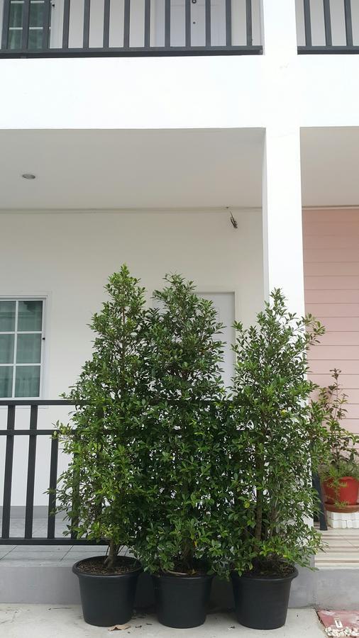 Hotel Patchy & Ppraw Family Ubon Ratchathani Exterior foto